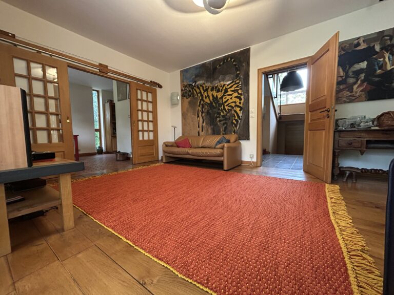Tapis artisanal XXL dans un salon contemporain